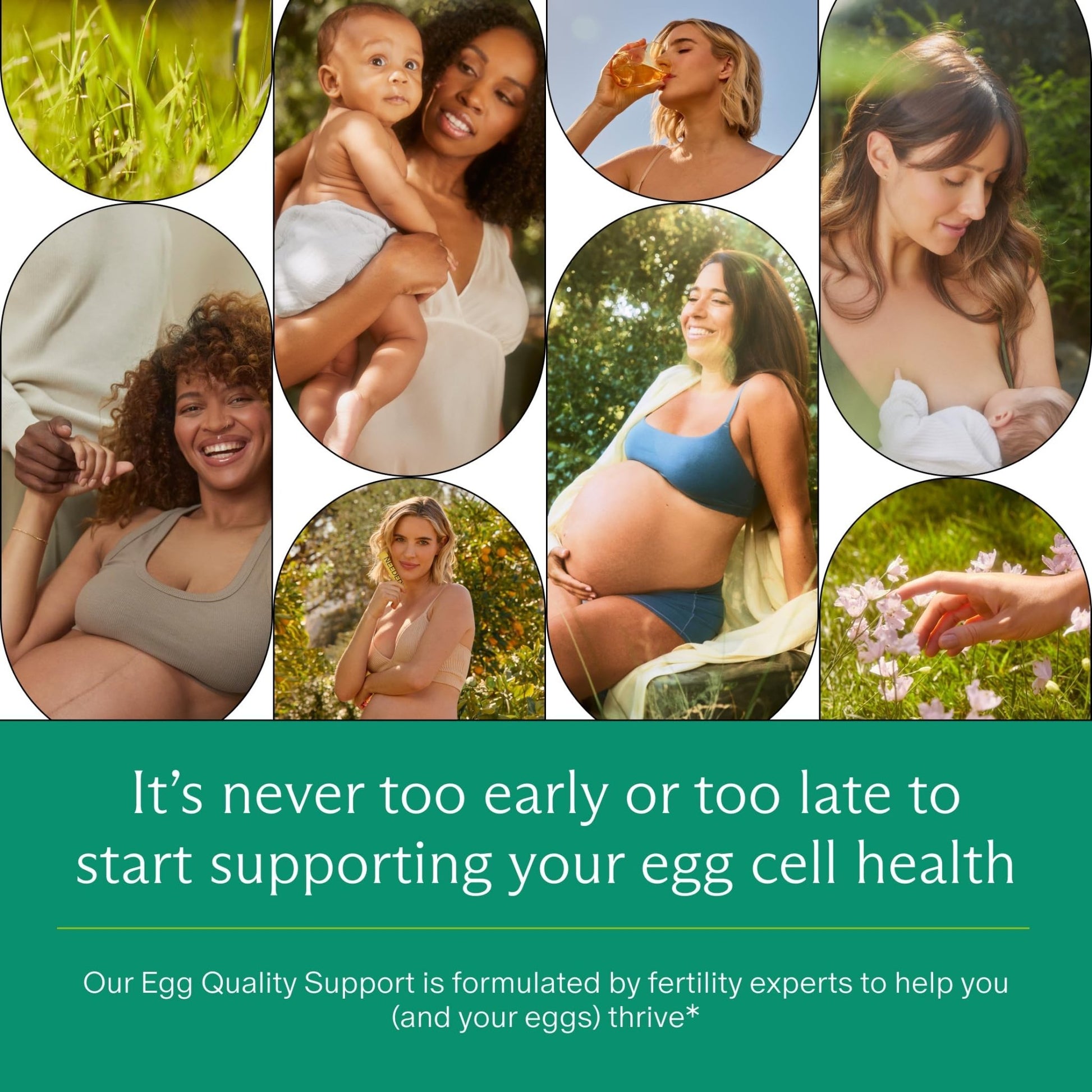 Needed. Egg Quality Support - Optimally Formulated Antioxidants Supplement for Egg Quality - Fertility Support - Fertility Supplement for Women - dailyvitalstore