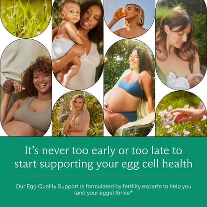 Needed. Egg Quality Support - Optimally Formulated Antioxidants Supplement for Egg Quality - Fertility Support - Fertility Supplement for Women - dailyvitalstore