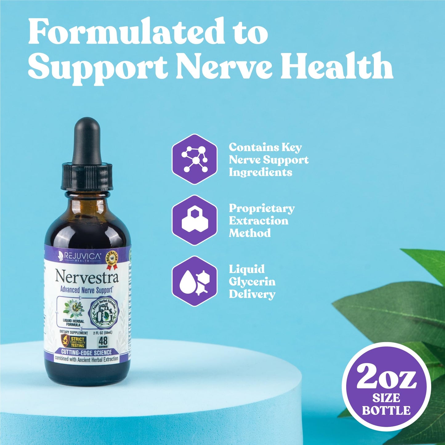 Nervestra - Nerve Health, with Alpha Lipoic Acid, to Bolster Nerve Health and Support Healthy Nerve Function - Alpha Lipoic Acid, Vitamin B6, White Willow Bark Turmeric Passionflower & More! - dailyvitalstore