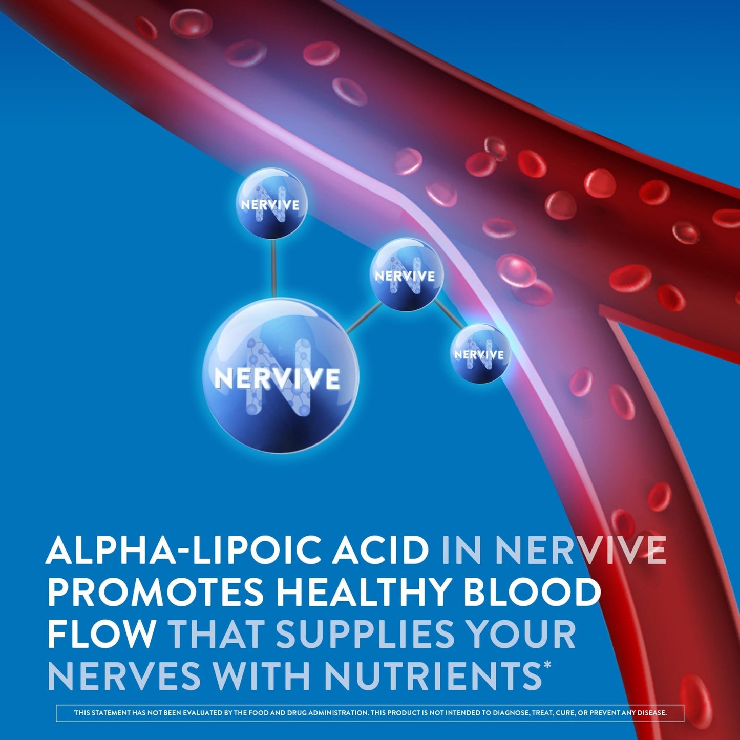 Nervive Nerve Health, Alpha Lipoic Acid, Fortify Nerve Health, Healthy Nerve Function, Healthy Blood Circulation, Supplement, Tablet, 60 Tablets - dailyvitalstore