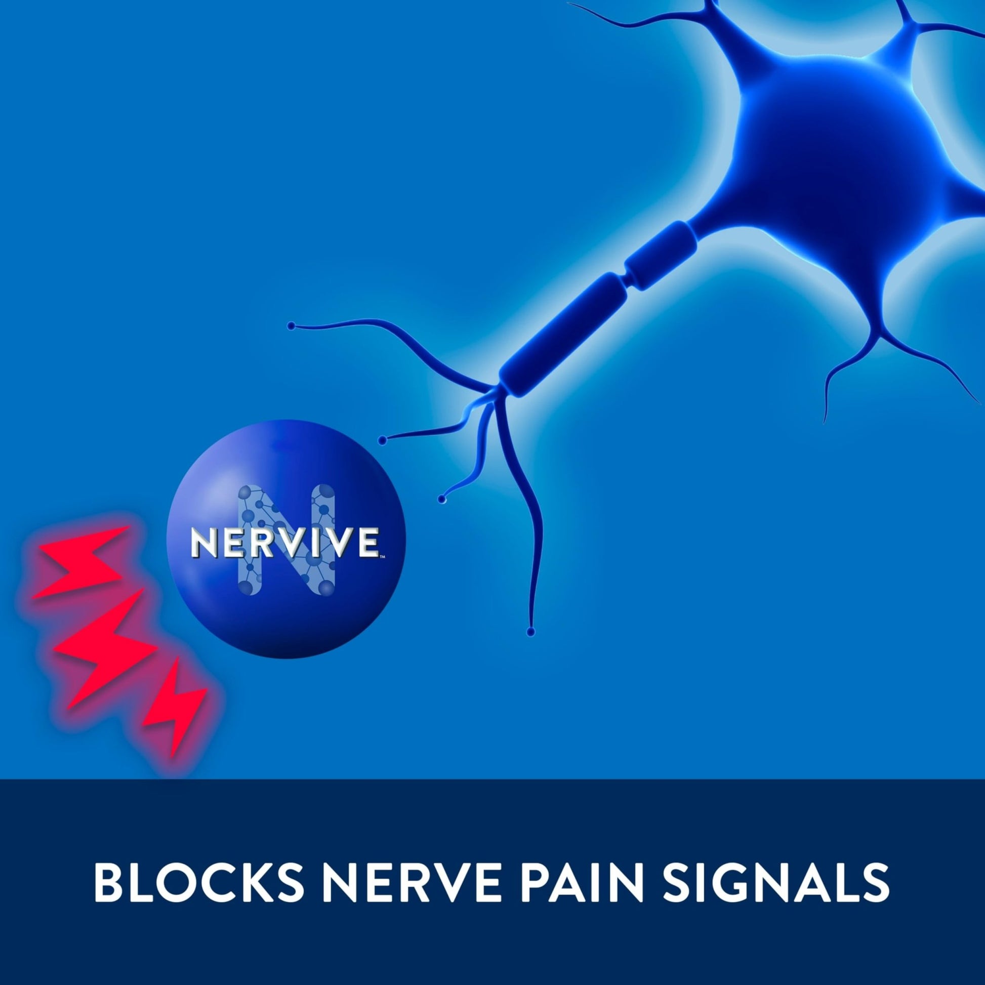 Nervive Pain Relieving Cream, Nervive Pain Relief, Max Strength Formula, Lidocaine Cream, Lidocaine Topical, Foot Pain, Leg Pain, Hand Pain Non-Greasy, 3.0z - dailyvitalstore