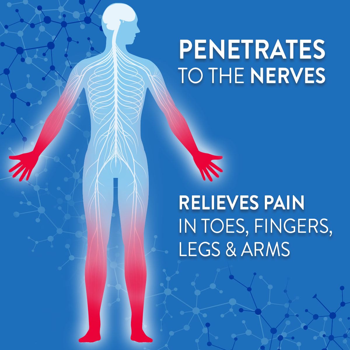 Nervive Pain Relieving Roll On, Lidocaine Roll On, Nervive Pain Relief, Lidocaine Topical, Foot Pain, Leg Pain, Hand Pain, Max Strength Formula, 4.6oz - dailyvitalstore