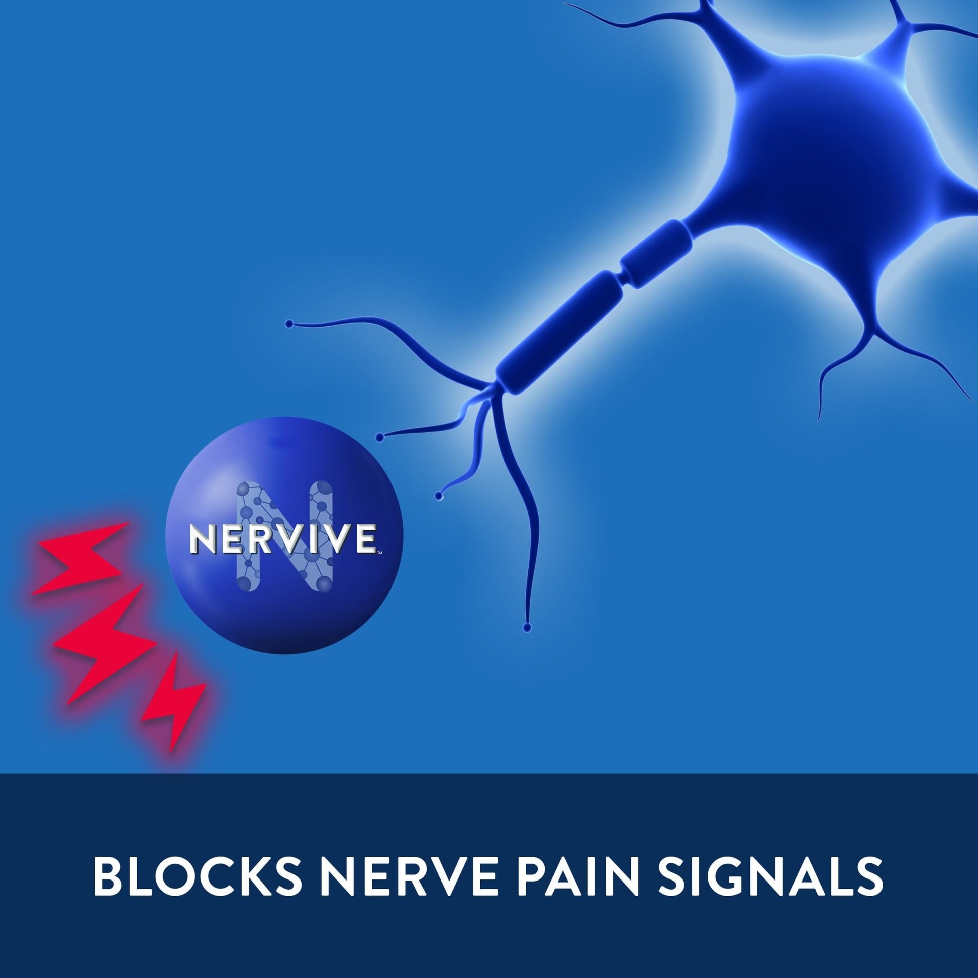 Nervive Pain Relieving Spray, Lidocaine Spray, Nervive Pain Relief, Lidocaine Topical, Foot Pain, Leg Pain, Hand Pain, Max Strength Formula, for Hard to Reach Areas, 4.5oz - dailyvitalstore