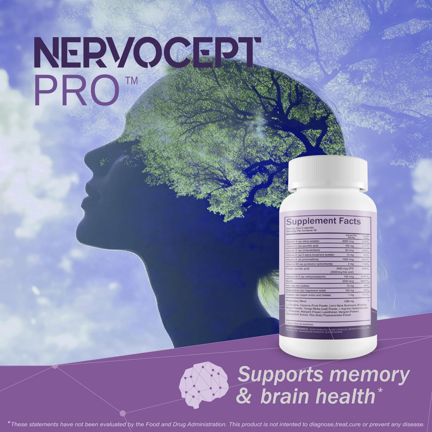 Nervocept Pro - Our Best Nerve Support Capsules - Lions Mane, Magnesium, Vitamin B For Nerve Repair - Vitamin D for Nerves - Lions Mane Memory & Nerve Support - Vitamin B12 Nerve Support - dailyvitalstore