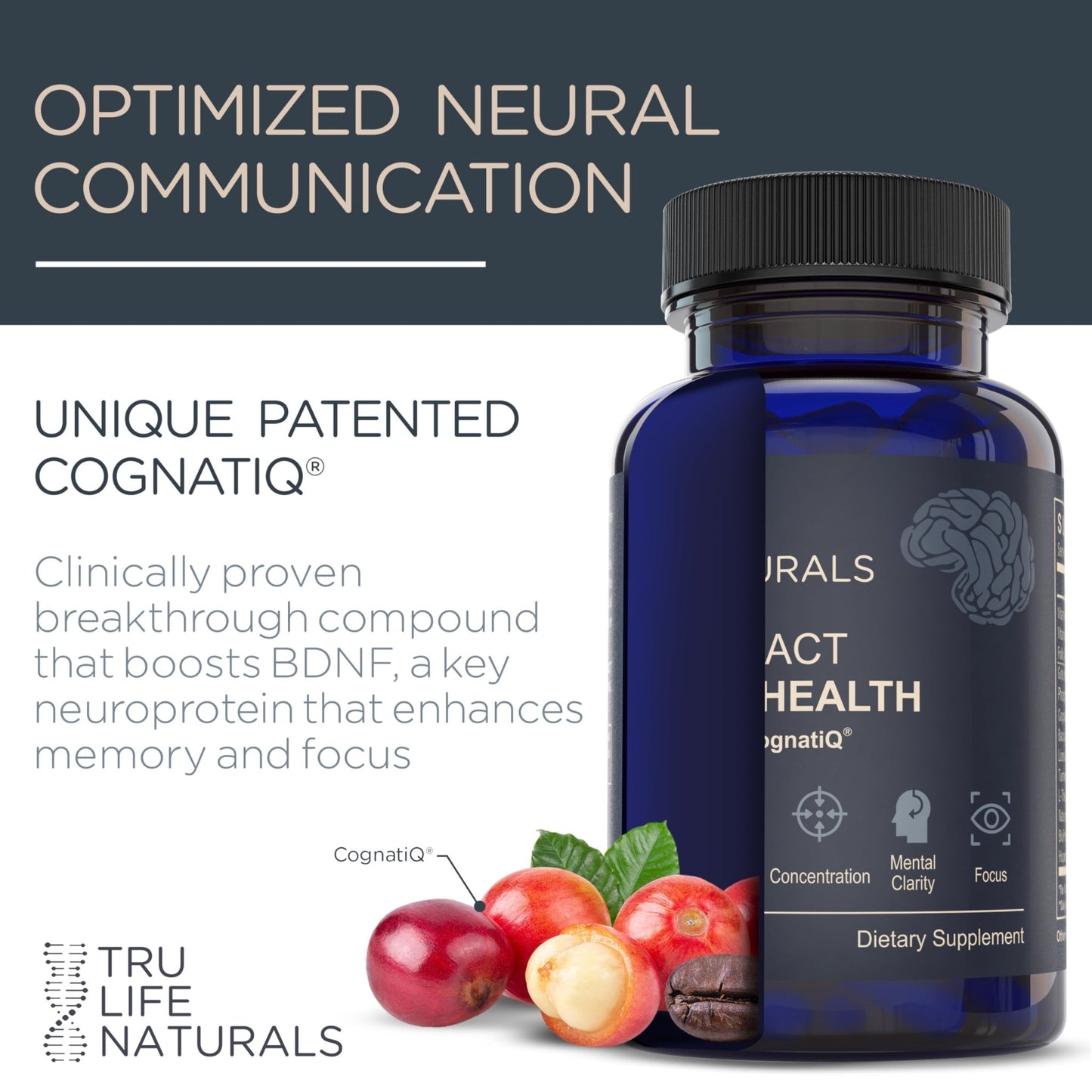 NEUROACT Brain Health Memory, Focus, Concentration, Mental Clarity with CognatiQ, Vitamin B3 & B6 | Manage Stress & Elevate Mood | Holistic Brain Health Formula, Sustained Energy & Well Being - dailyvitalstore