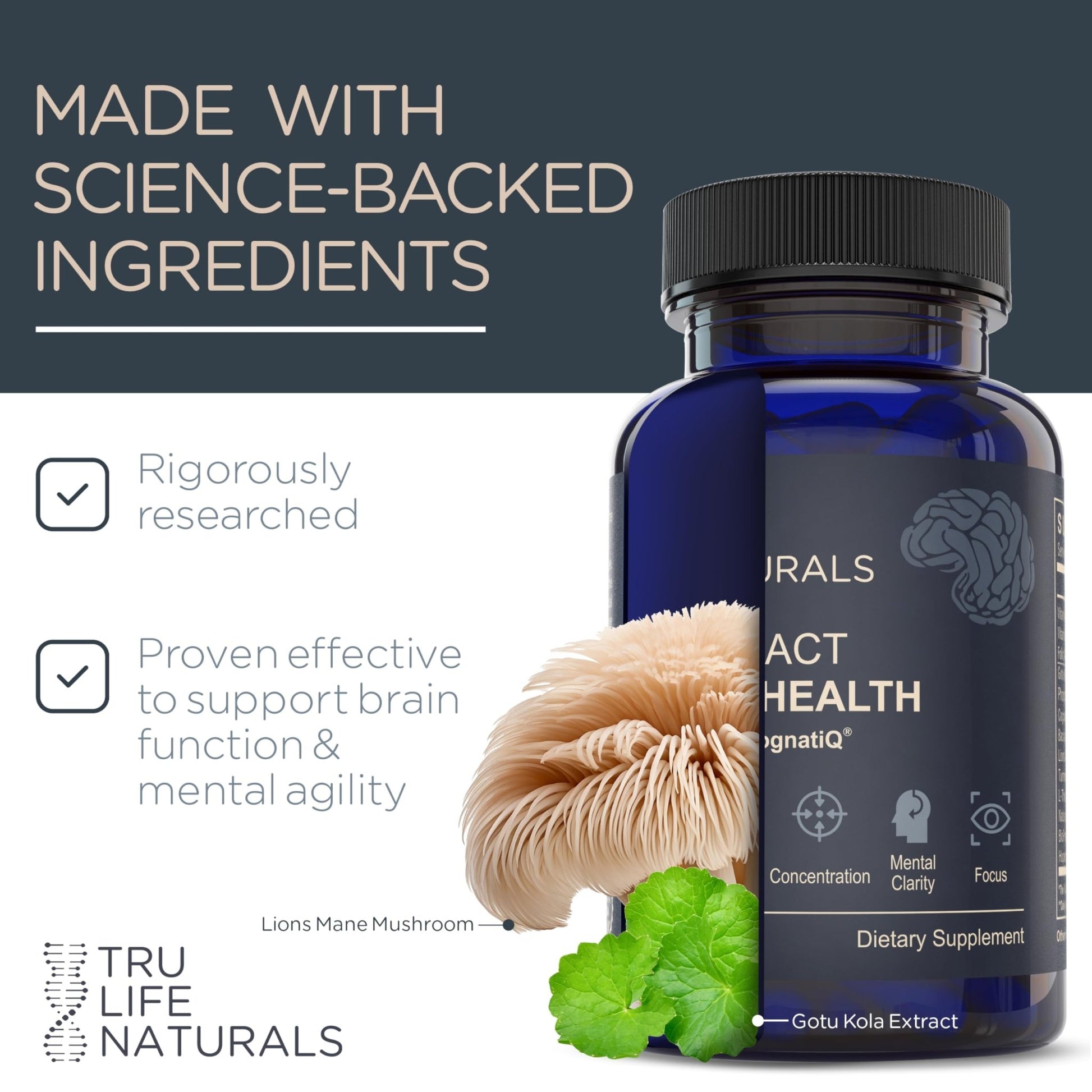 NEUROACT Brain Health Memory, Focus, Concentration, Mental Clarity with CognatiQ, Vitamin B3 & B6 | Manage Stress & Elevate Mood | Holistic Brain Health Formula, Sustained Energy & Well Being - dailyvitalstore