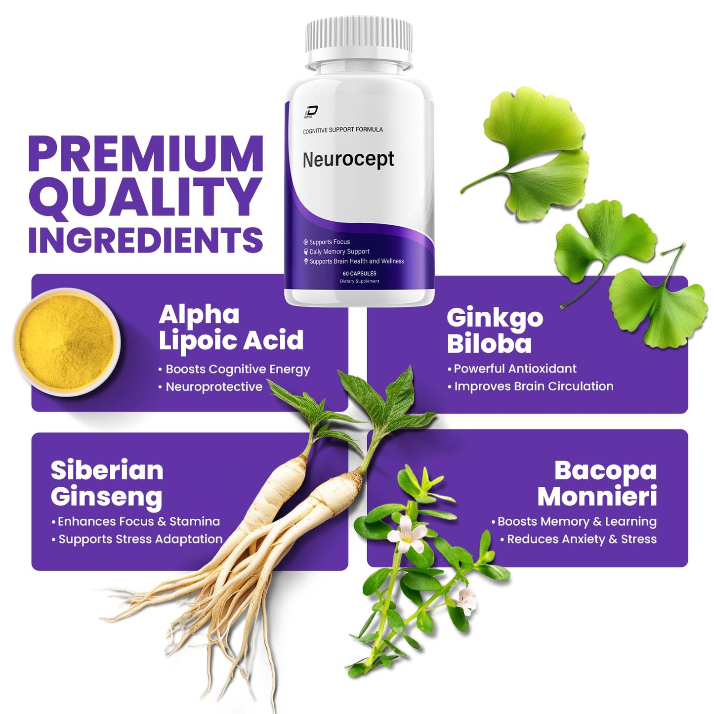 Neurocept Supplement Capsules – All Natural Maximum Strength Formula, Focus & Memory Support (60 Capsules) - dailyvitalstore