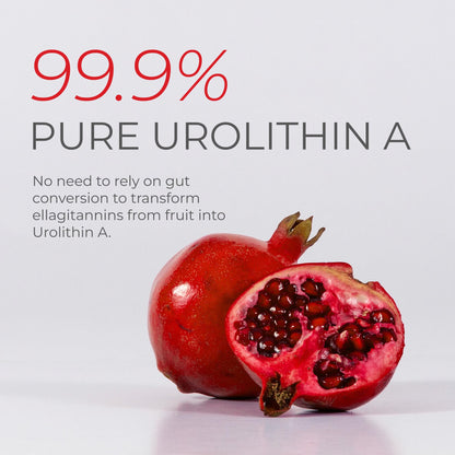 Neurogan Urolithin A PRO Capsules - 1000mg, 120 Ct - Advanced Cellular Health, Post Biotic Supplements - Ultra Micronized Urolithin A Supplement, Sourced from Pomegranate Extract - dailyvitalstore