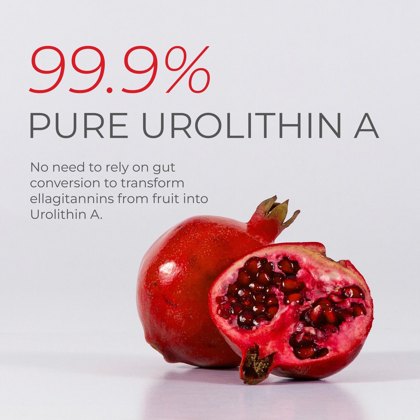 Neurogan Urolithin A PRO Capsules - 1000mg, 120 Ct - Advanced Cellular Health, Post Biotic Supplements - Ultra Micronized Urolithin A Supplement, Sourced from Pomegranate Extract - dailyvitalstore