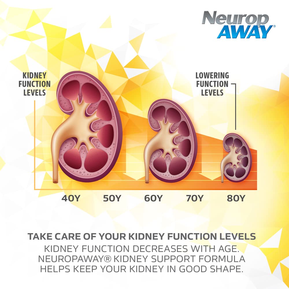 NeuropAWAY Kidney Support Formula Sugar Free with Agmatine Sulfate 500mg L-Novaline 50mg L-Ornithine 150mg L-Citrulline 100mg Per Capsule 90CT Fast Acting Kidney Support - dailyvitalstore