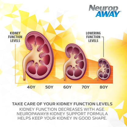 NeuropAWAY Kidney Support Formula Sugar Free with Agmatine Sulfate 500mg L-Novaline 50mg L-Ornithine 150mg L-Citrulline 100mg Per Capsule 90CT Fast Acting Kidney Support - dailyvitalstore