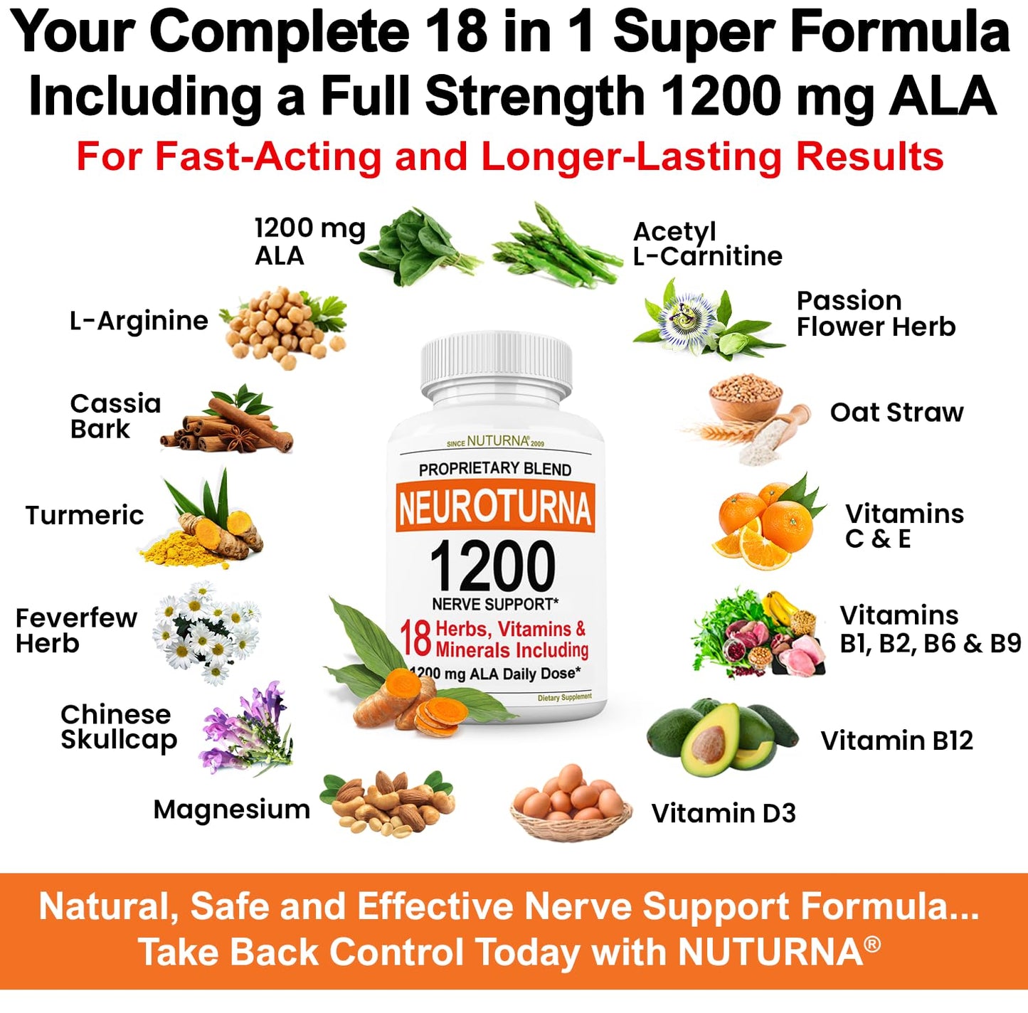 Neuroturna Support Supplement with 1200 mg Pure Alpha Lipoic Acid - Maximum Strength Formula with ALA + Vitamins + Minerals + Herbs - Best Natural Support - 180 Capsules - dailyvitalstore