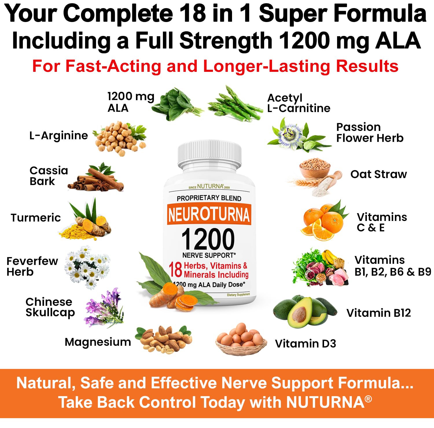 Neuroturna Support Supplement with 1200 mg Pure Alpha Lipoic Acid - Maximum Strength Formula with ALA + Vitamins + Minerals + Herbs - Best Natural Support - 180 Capsules - dailyvitalstore
