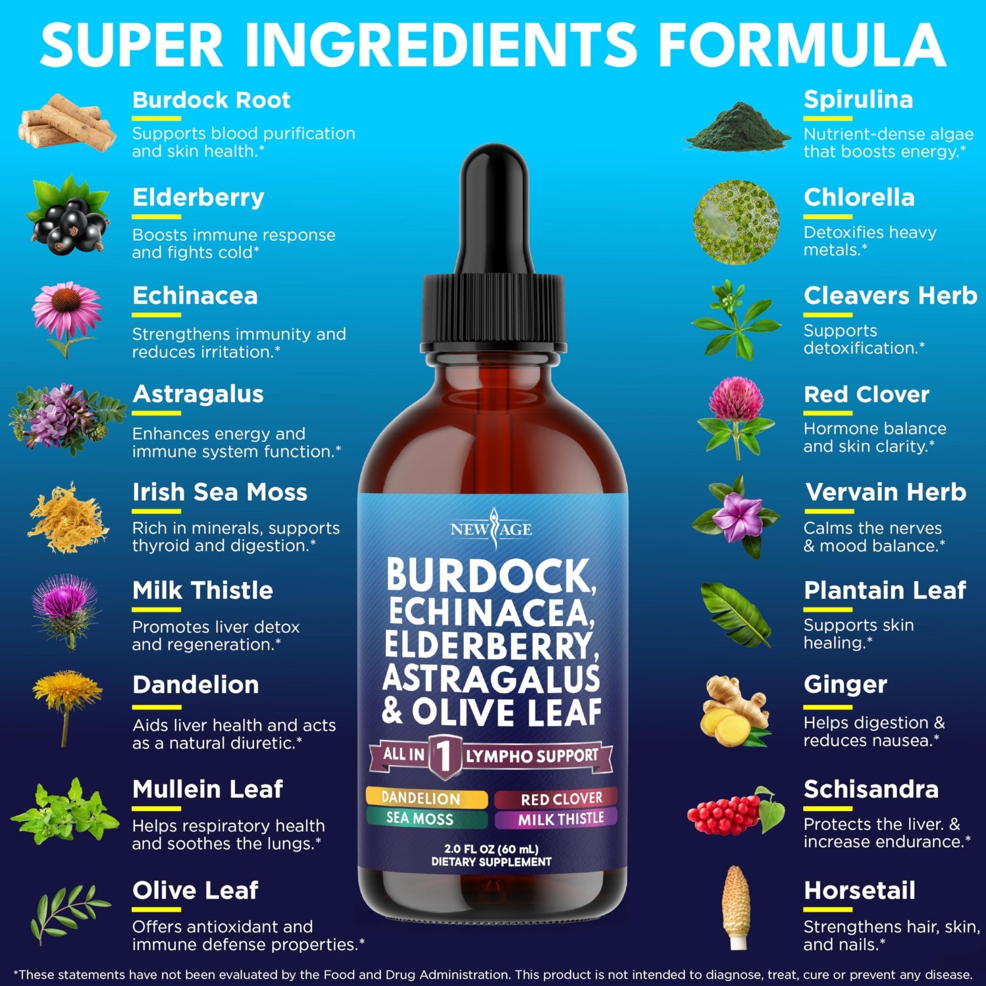 NEW AGE Lymphatic Drainage Supplement - Burdock Lymphatic Support Drops - Burdock Root, Mullein, Echinacea, Elderberry, Dandelion, Astragalus, Milk Thistle, Red Clover - 4 oz - dailyvitalstore
