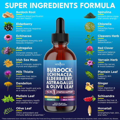 NEW AGE Lymphatic Drainage Supplement - Burdock Lymphatic Support Drops - Burdock Root, Mullein, Echinacea, Elderberry, Dandelion, Astragalus, Milk Thistle, Red Clover - 4 oz - dailyvitalstore