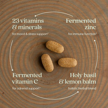 New Chapter Perfect Calm - Daily Multivitamin for Stress & Mood Support with B Vitamins + Holy Basil + Lemon Balm - dailyvitalstore