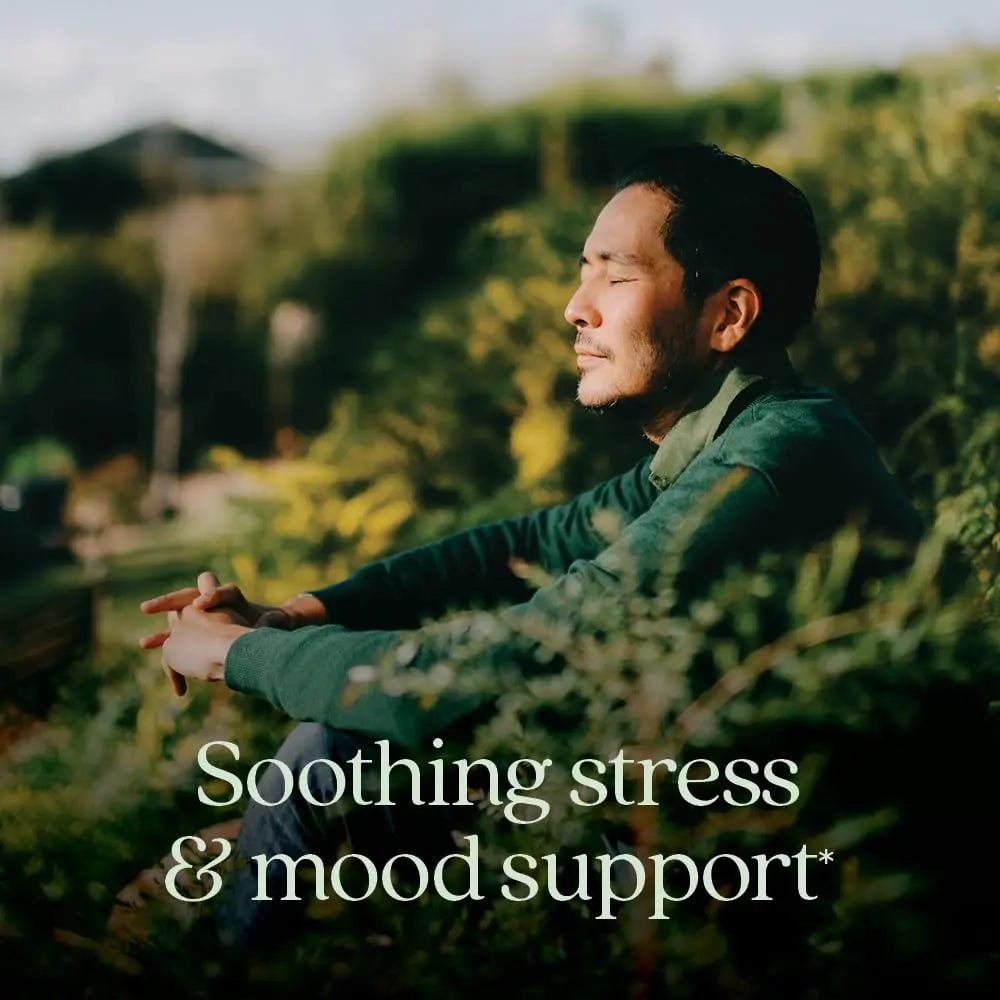 New Chapter Perfect Calm - Daily Multivitamin for Stress & Mood Support with B Vitamins + Holy Basil + Lemon Balm - dailyvitalstore