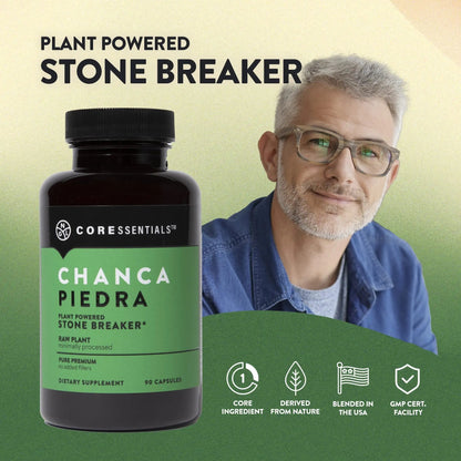 NGL Chanca Piedra Pure Stone Breaker 1,300mg - Kidney, Renal, Gallbladder Support Phyllanthus niruri - All Natural Herbal Detox Urinary Tract, Removes Impurities - 90 Capsules - dailyvitalstore