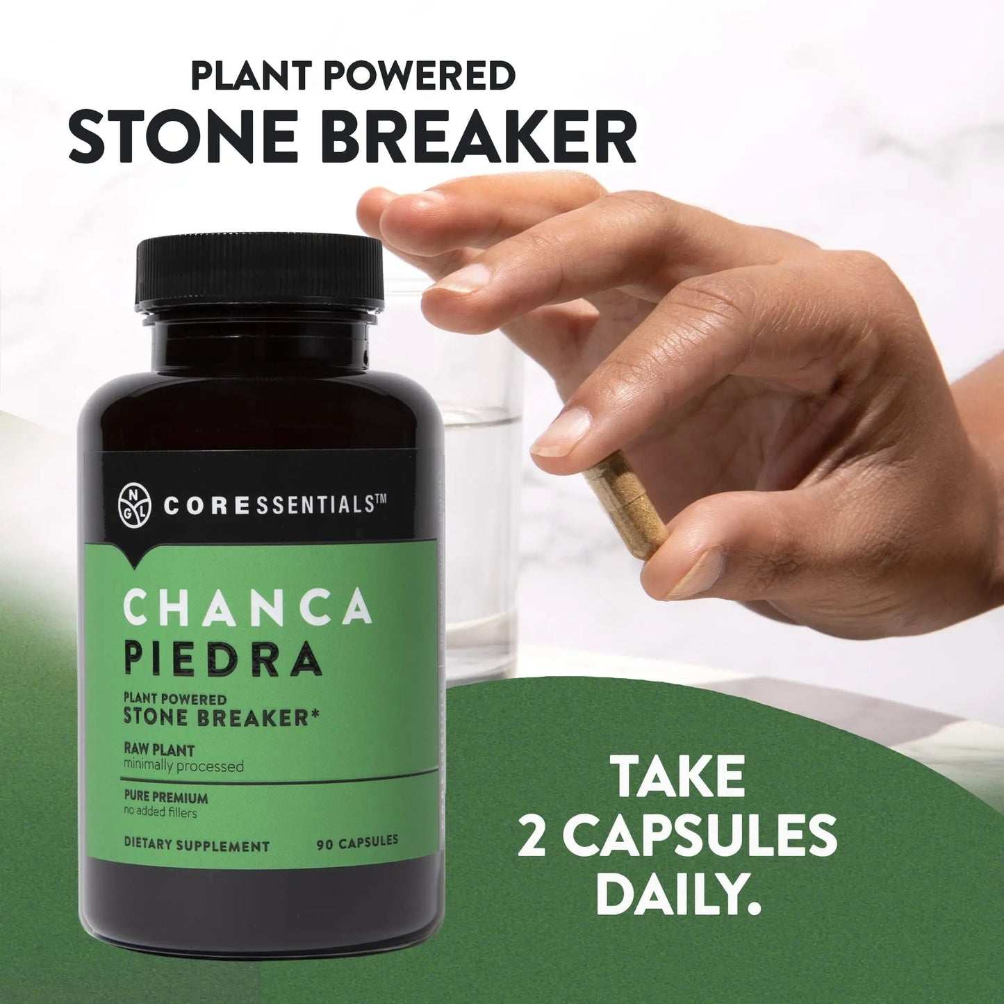 NGL Chanca Piedra Pure Stone Breaker 1,300mg - Kidney, Renal, Gallbladder Support Phyllanthus niruri - All Natural Herbal Detox Urinary Tract, Removes Impurities - 90 Capsules - dailyvitalstore