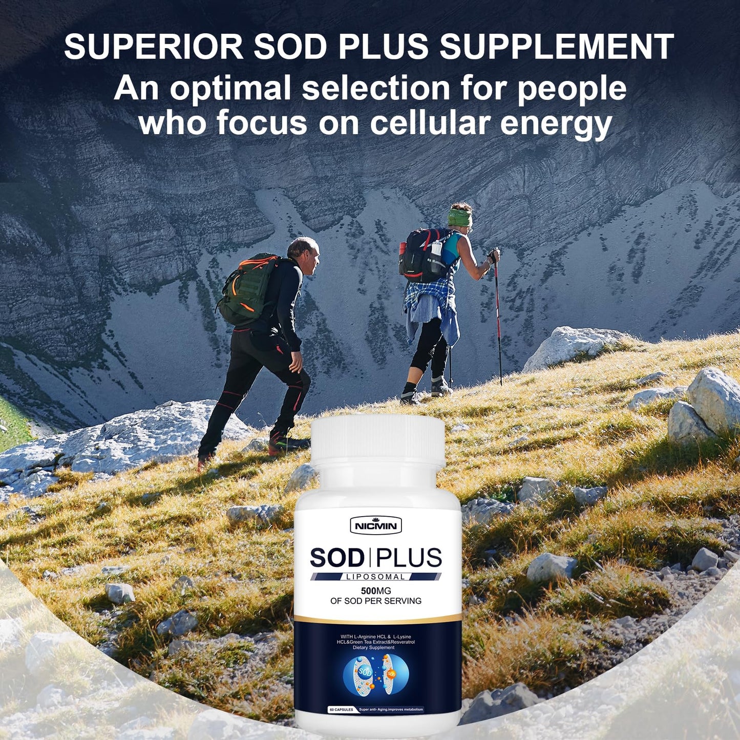NICMIN 500MG Superoxide Dismutase Supplement - SOD Plus with Liposomal Glutathione, AKG, Green Tea Extract, L-Arginine, Lysine, Resveratrol and Vitamin E for Immune Support, Antioxidant 120 Capsules - dailyvitalstore