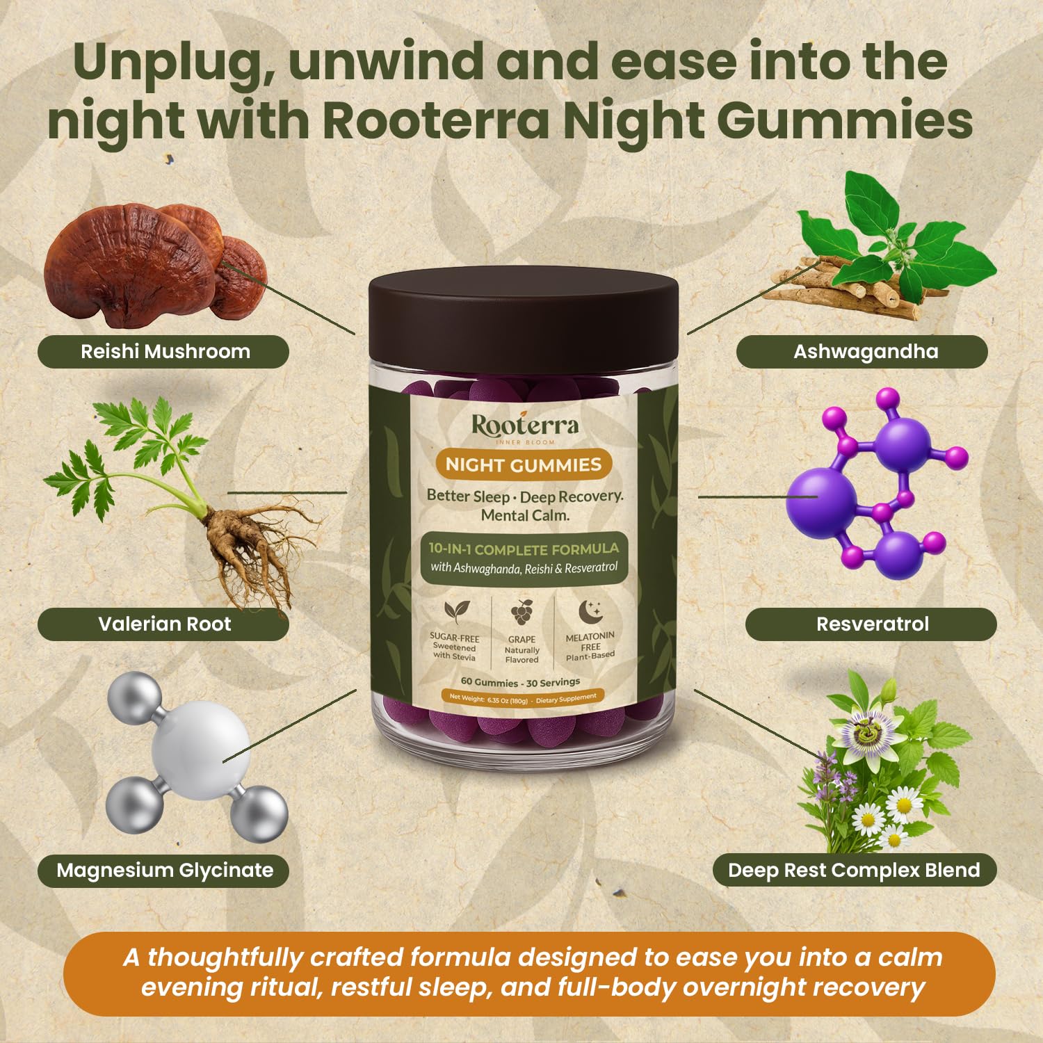 Night Gummies – Melatonin-Free, Reishi, Ashwagandha, Valerian, Magnesium, Resveratrol & Relaxing Botanicals – Supports Evening Calm - dailyvitalstore