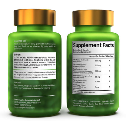 NMN Supplement 500mg - NAD Supplement with Resveratrol, TMG, Apigenin, PQQ, and Black Pepper Extract - 6-in-1 Acid-Resistant Vegan Pills Complex - dailyvitalstore