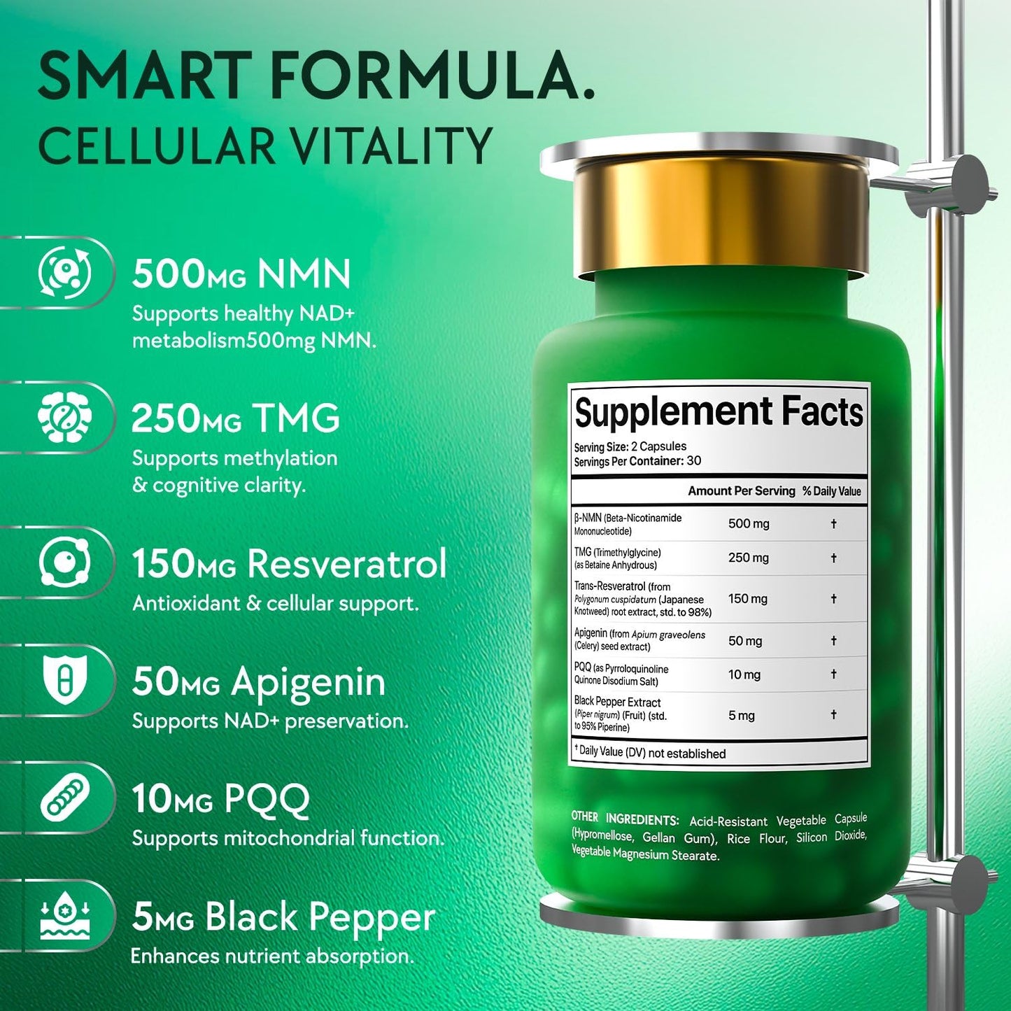 NMN Supplement 500mg - NAD Supplement with Resveratrol, TMG, Apigenin, PQQ, and Black Pepper Extract - 6-in-1 Acid-Resistant Vegan Pills Complex - dailyvitalstore