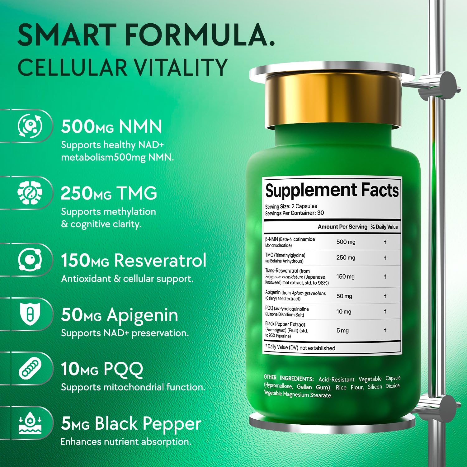 NMN Supplement 500mg - NAD Supplement with Resveratrol, TMG, Apigenin, PQQ, and Black Pepper Extract - 6-in-1 Acid-Resistant Vegan Pills Complex - dailyvitalstore