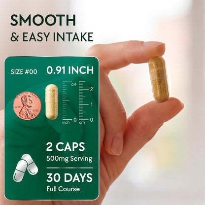 NMN Supplement 500mg - NAD Supplement with Resveratrol, TMG, Apigenin, PQQ, and Black Pepper Extract - 6-in-1 Acid-Resistant Vegan Pills Complex - dailyvitalstore