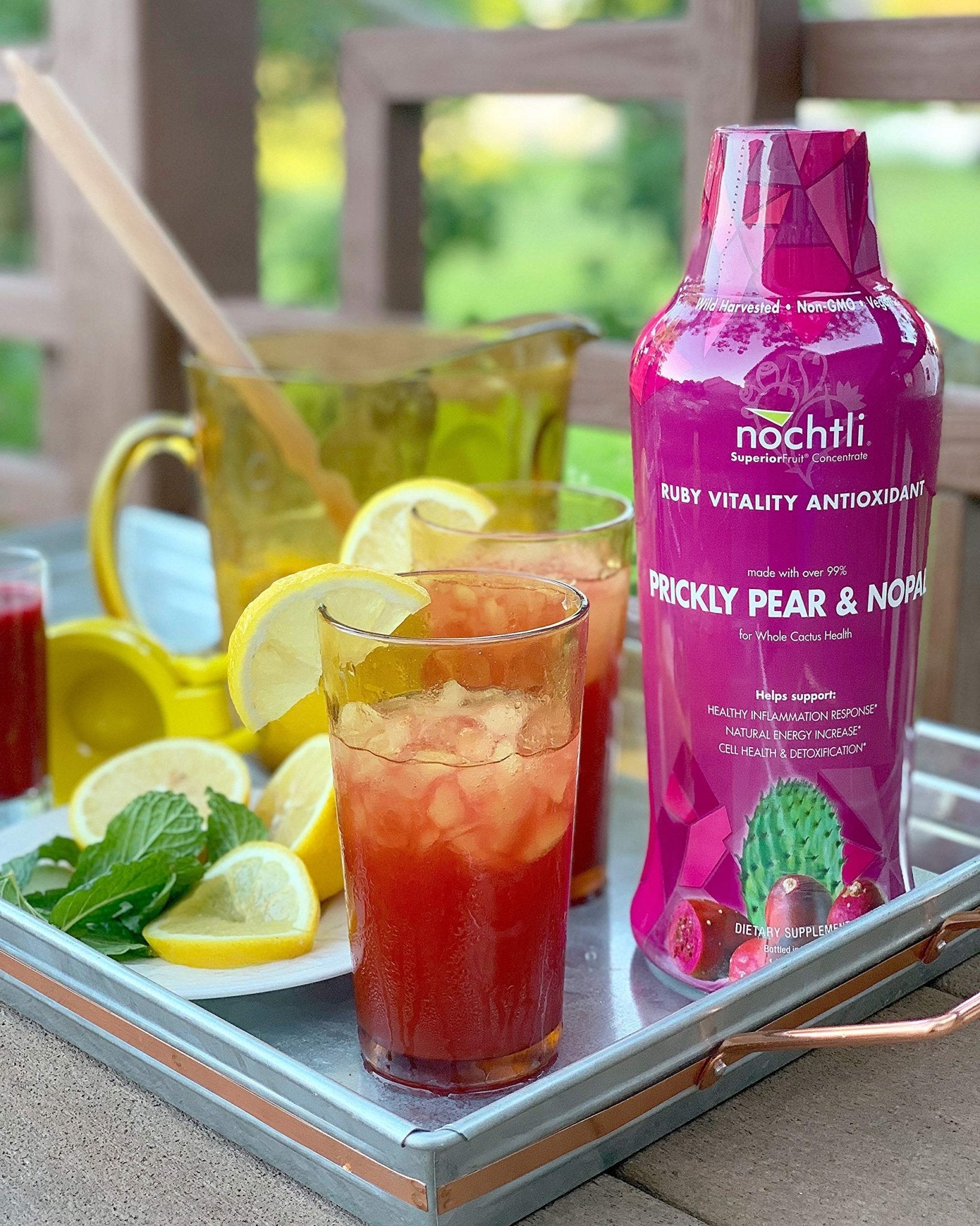 nochtli Recover Prickly Pear Liquid Supplement 1L (4-pack) - dailyvitalstore