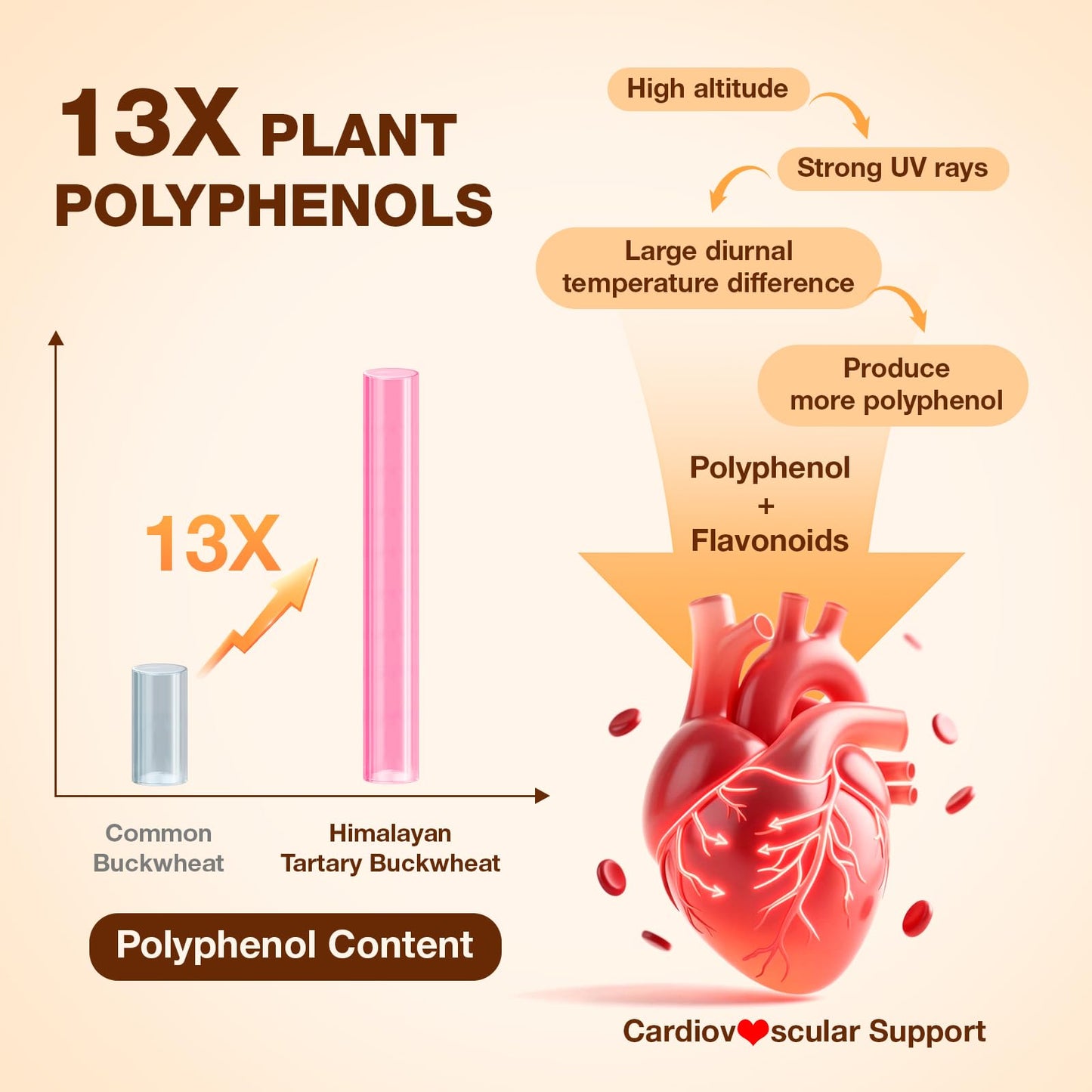 Nokuba Polyphenols Supplement for Immune Support | Himalayan Tartary Buckwheat Sourced | Polyphenol Superfood with Quercetin, Curcumin | Immune Booster, Antioxidant, Anti-inflammatory - 120 Capsules - dailyvitalstore