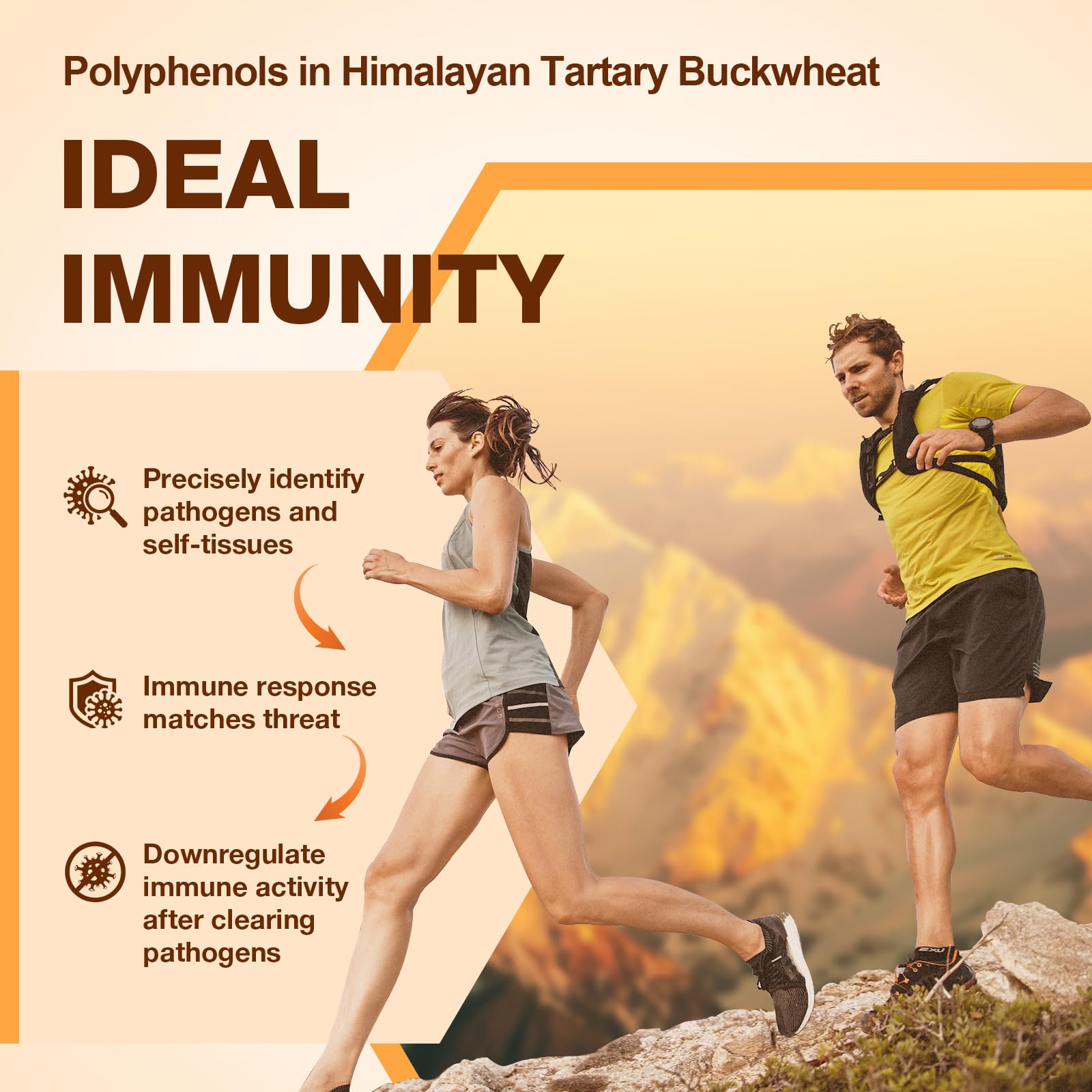 Nokuba Polyphenols Supplement for Immune Support | Himalayan Tartary Buckwheat Sourced | Polyphenol Superfood with Quercetin, Curcumin | Immune Booster, Antioxidant, Anti-inflammatory - 120 Capsules - dailyvitalstore