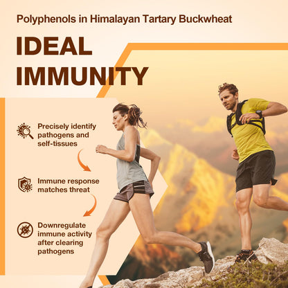 Nokuba Polyphenols Supplement for Immune Support | Himalayan Tartary Buckwheat Sourced | Polyphenol Superfood with Quercetin, Curcumin | Immune Booster, Antioxidant, Anti-inflammatory - 120 Capsules - dailyvitalstore