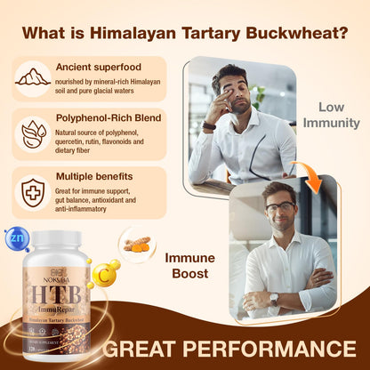 Nokuba Polyphenols Supplement for Immune Support | Himalayan Tartary Buckwheat Sourced | Polyphenol Superfood with Quercetin, Curcumin | Immune Booster, Antioxidant, Anti-inflammatory - 120 Capsules - dailyvitalstore