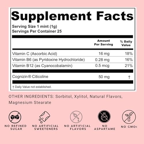 NOOZ Focus Mints Refill Bag - Caffeine-Free Brain Booster for Mental Clarity-Tangerine & Lemon Flavor | Sugar-Free, Travel-Friendly Supplement with Vitamin C, B6, B12 - Non-GMO, Clean Label, 150 Mints - dailyvitalstore