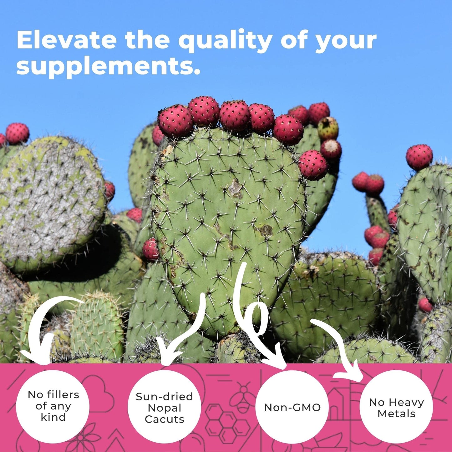 Nopal Cactus Capsules 1500mg- Organic Sun-Dried Prickly Pear Cactus Powder & Black Pepper Extract for Absorption- Natural Prickly Pear Super Supplement - dailyvitalstore