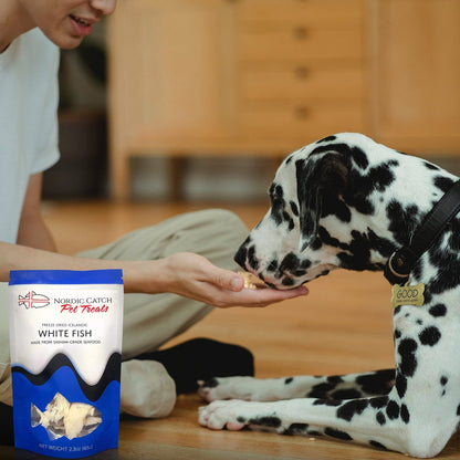 Nordic Catch Freeze Dried Fish Pet Treats from Iceland - Pure, All Natural Seafood Snacks for Dogs, Cats and Other Pets - Human Safe Ingredients, Made from Sashimi Grade Seafood - White Fish - dailyvitalstore