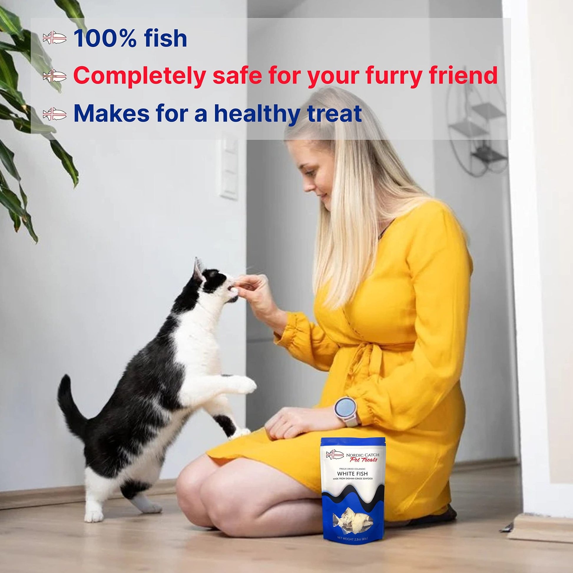 Nordic Catch Freeze Dried Fish Pet Treats from Iceland - Pure, All Natural Seafood Snacks for Dogs, Cats and Other Pets - Human Safe Ingredients, Made from Sashimi Grade Seafood - White Fish - dailyvitalstore