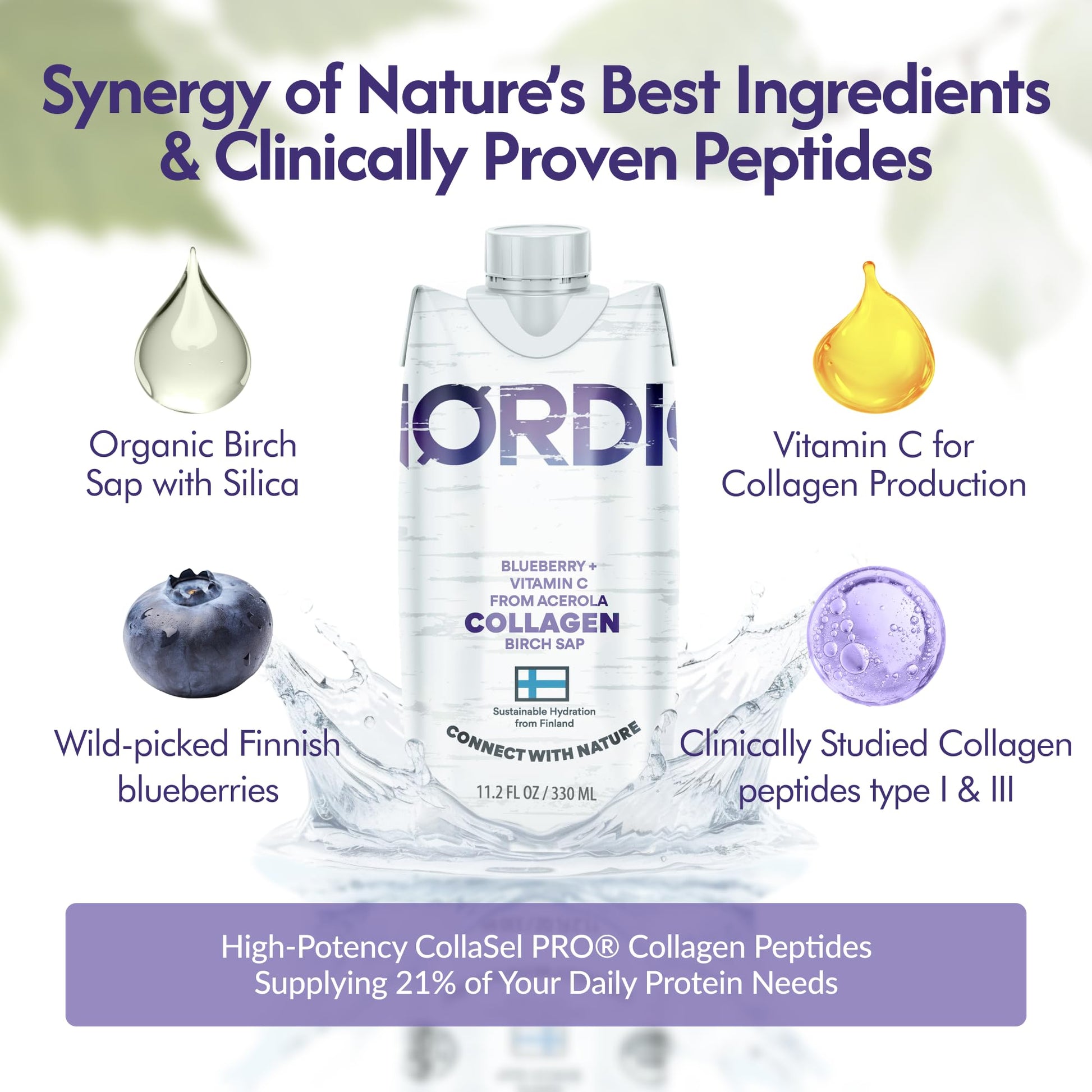 Nordic Liquid Collagen Peptide Drink, Organic Birch Sap, Wild blueberry + Vitamin C, Made in Finland - 10g Clinically Studied Grass Fed Collagen Peptides for Skin Hair Nails & Joint Support, with Silica, BPA-Free Beverage (12 Pack) - dailyvitalstore