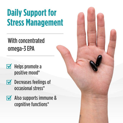 Nordic Naturals Mood Support Omega Blend - Unflavored - 60 Soft Gels - 1400 mg Omega-3 Supplement with EPA & DHA - Promotes Balanced Mood and Serenity - Non-GMO - 30 Servings - dailyvitalstore