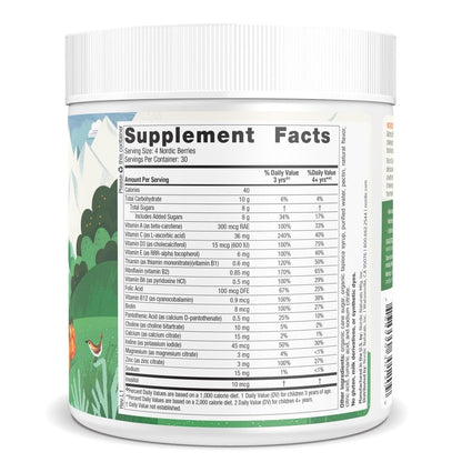 Nordic Naturals Nordic Berries, Citrus - 120 Gummy Berries - Great-Tasting Multivitamin for Ages 2+ - Growth, Development, Optimal Wellness - Non-GMO, Vegetarian - 30 Servings - dailyvitalstore