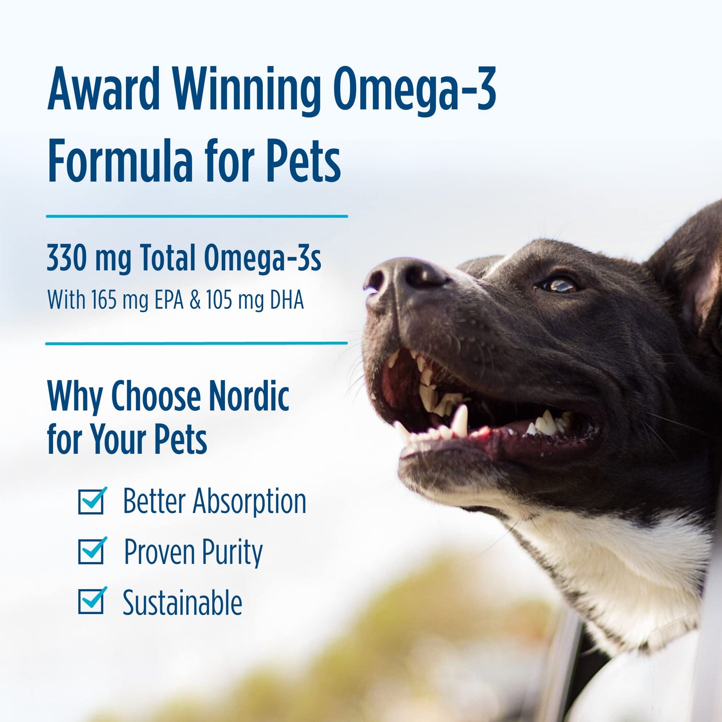 Nordic Naturals Omega-3 Pet, Unflavored - 180 Soft Gels - 320 mg Omega-3 Per Soft Gel - Fish Oil for Dogs with EPA & DHA - Promotes Heart, Skin, Coat, & Immune Health - dailyvitalstore