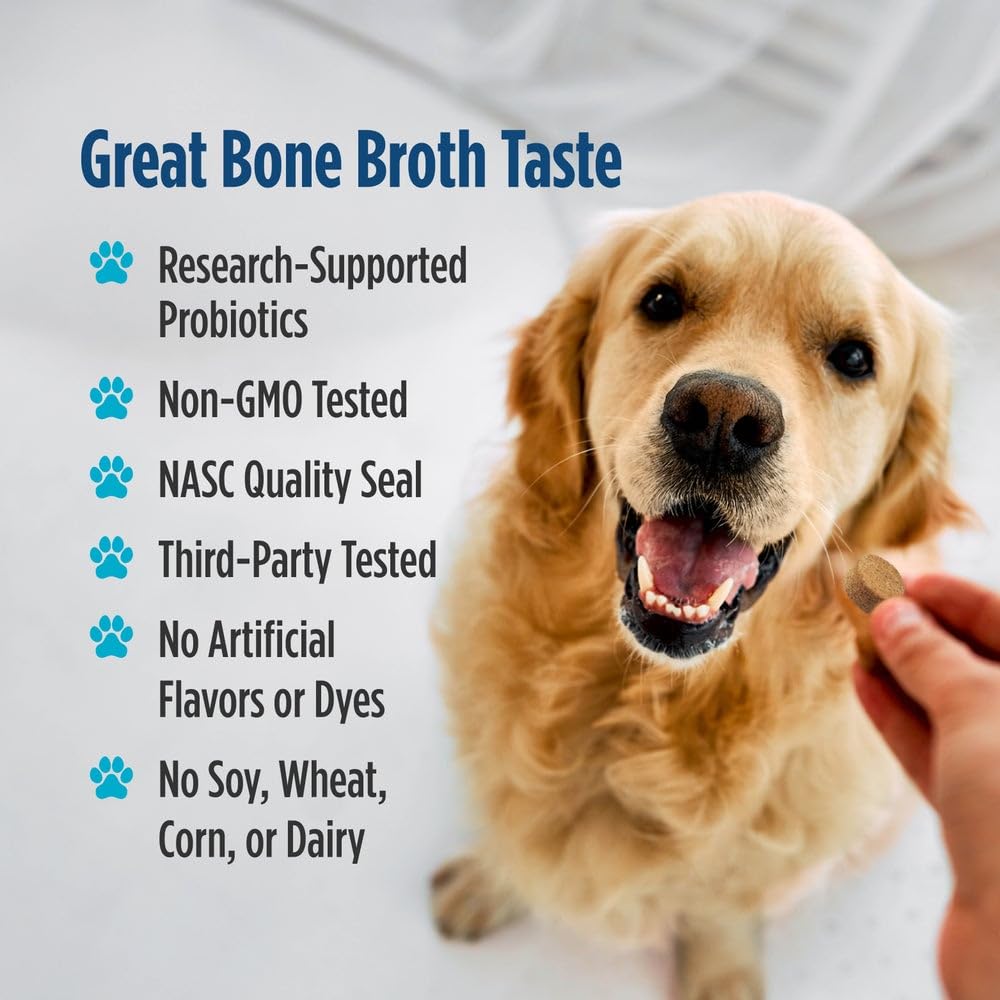 Nordic Naturals Pet Digestive Support with Probiotics, Pork Bone Broth Flavor - 30 Soft Chews - Nutritional Supplement for a Healthy Digestive System and GI Support - 30 Non-GMO Chews - dailyvitalstore