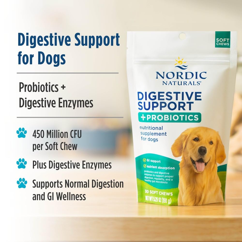 Nordic Naturals Pet Digestive Support with Probiotics, Pork Bone Broth Flavor - 30 Soft Chews - Nutritional Supplement for a Healthy Digestive System and GI Support - 30 Non-GMO Chews - dailyvitalstore