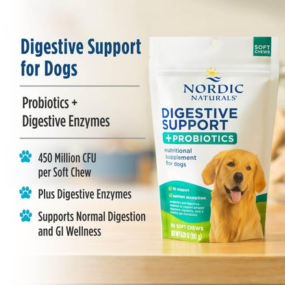 Nordic Naturals Pet Digestive Support with Probiotics, Pork Bone Broth Flavor - 30 Soft Chews - Nutritional Supplement for a Healthy Digestive System and GI Support - 30 Non-GMO Chews - dailyvitalstore
