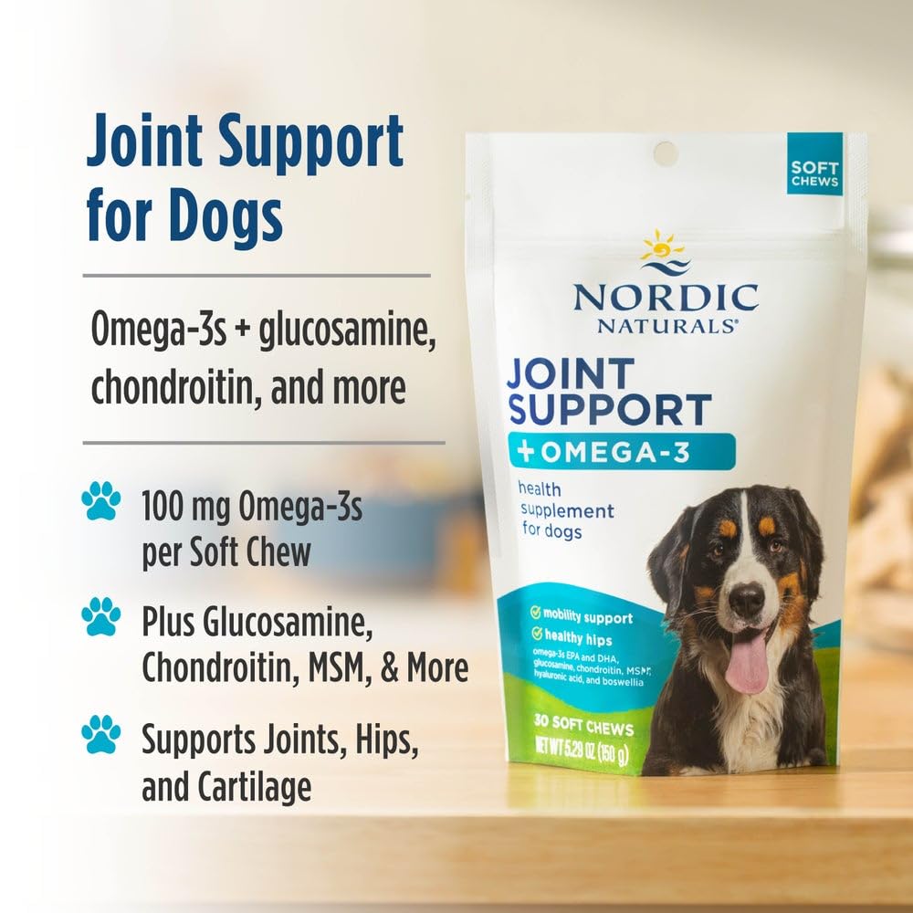 Nordic Naturals Pet Joint Support + Omega 3 Soft Chews for Dogs, Pork Bone Broth Flavored - Promotes Mobility, Hip and Joint Support with Omega-3 Fish Oil, MSM, EPA & DHA - 30 Non-GMO Chews - dailyvitalstore