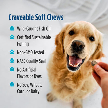 Nordic Naturals Pet Joint Support + Omega 3 Soft Chews for Dogs, Pork Bone Broth Flavored - Promotes Mobility, Hip and Joint Support with Omega-3 Fish Oil, MSM, EPA & DHA - 30 Non-GMO Chews - dailyvitalstore