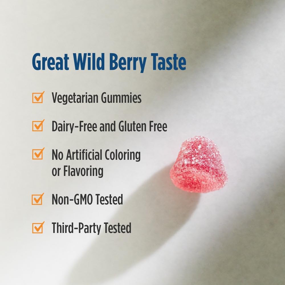 Nordic Naturals Vitamin D3 Gummies, Wild Berry - 120 Gummies - 1000 IU Vitamin D3, 1.4 mg Iron - Great Taste - Healthy Bones, Mood & Immune System Function - Non-GMO - 120 Servings - dailyvitalstore