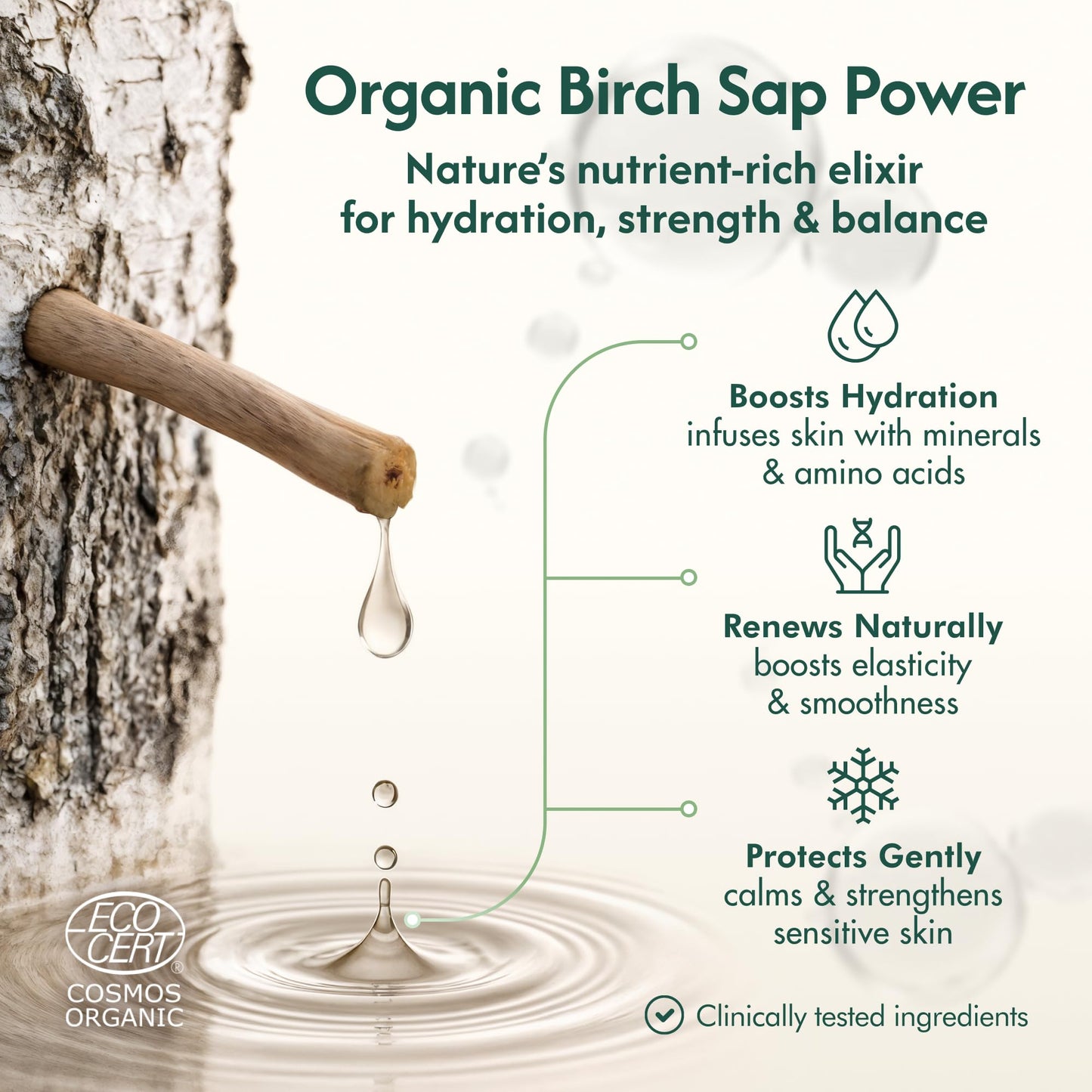 Nordic Organic Birch Sap Face Mist – COSMOS Certified Organic Formula with Hyaluronic Acid & Chaga Mushroom, Fragrance Free, Made in Finland 3.38 oz (100 ml), 1 Bottle - dailyvitalstore
