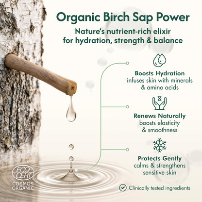 Nordic Organic Birch Sap Face Mist – COSMOS Certified Organic Formula with Hyaluronic Acid & Chaga Mushroom, Fragrance Free, Made in Finland 3.38 oz (100 ml), 1 Bottle - dailyvitalstore